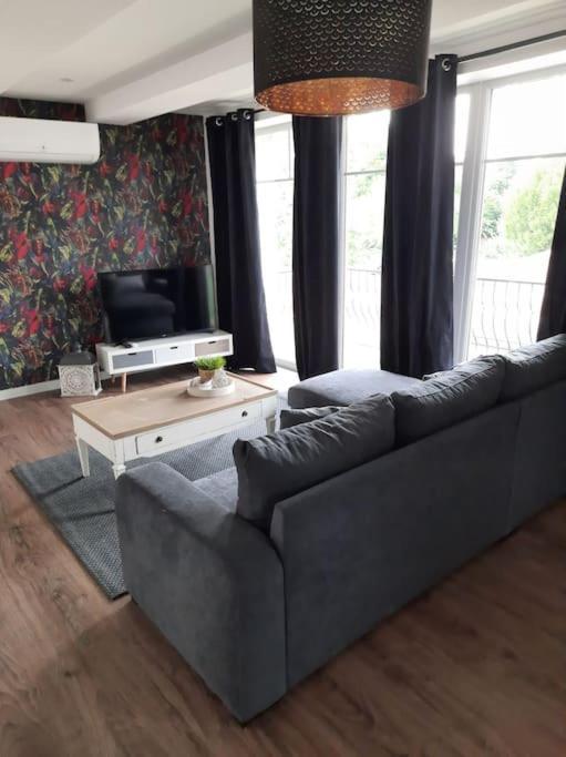 Superbe Appartement Climatise Au Centre Ville 777 Brazey-en-Plaine Eksteriør billede